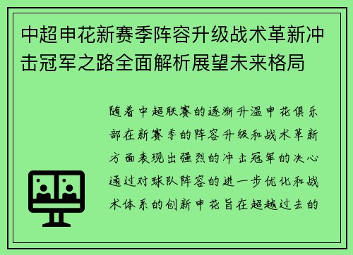 中超申花新赛季阵容升级战术革新冲击冠军之路全面解析展望未来格局